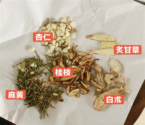 麻黃加朮湯|醫砭» 常用方劑(869方) » 麻黃加朮湯